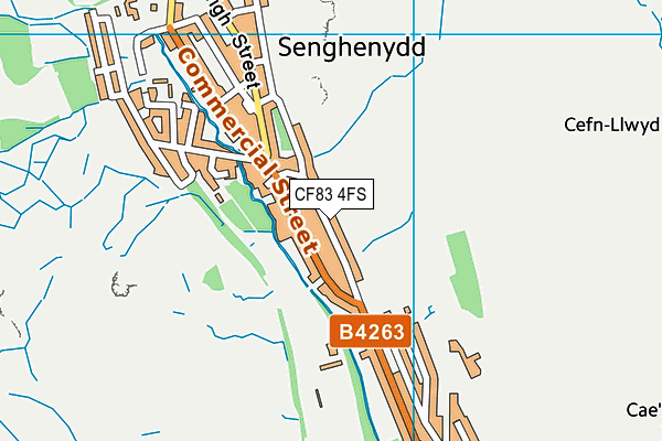 CF83 4FS map - OS VectorMap District (Ordnance Survey)