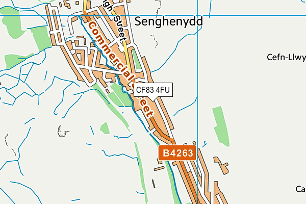 CF83 4FU map - OS VectorMap District (Ordnance Survey)