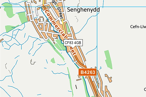 CF83 4GB map - OS VectorMap District (Ordnance Survey)