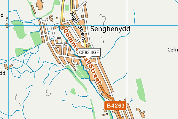 CF83 4GF map - OS VectorMap District (Ordnance Survey)