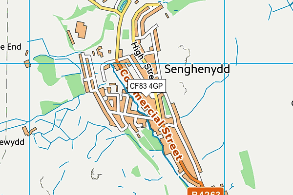 CF83 4GP map - OS VectorMap District (Ordnance Survey)