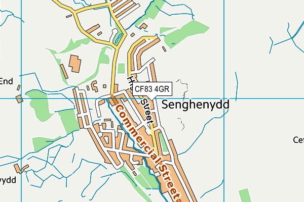 CF83 4GR map - OS VectorMap District (Ordnance Survey)