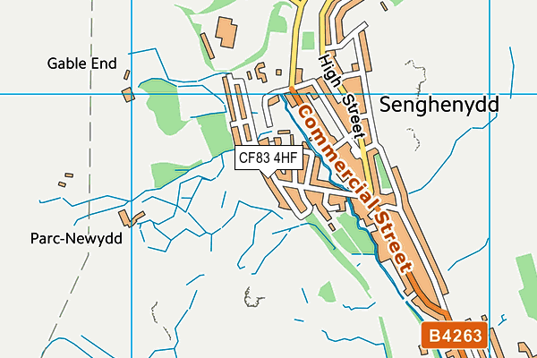 CF83 4HF map - OS VectorMap District (Ordnance Survey)