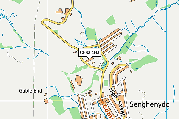 CF83 4HJ map - OS VectorMap District (Ordnance Survey)