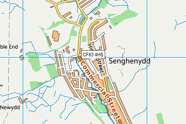 CF83 4HS map - OS VectorMap District (Ordnance Survey)