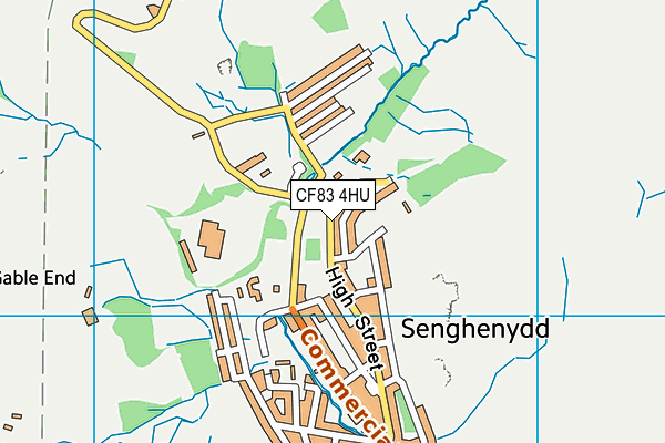 CF83 4HU map - OS VectorMap District (Ordnance Survey)