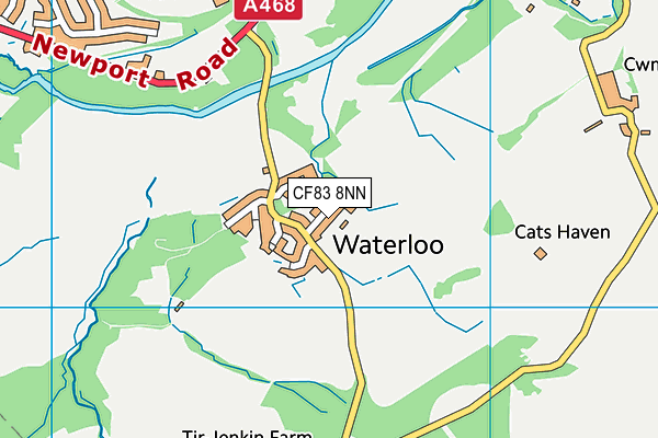 CF83 8NN map - OS VectorMap District (Ordnance Survey)