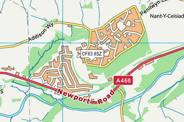 CF83 8SZ map - OS VectorMap District (Ordnance Survey)