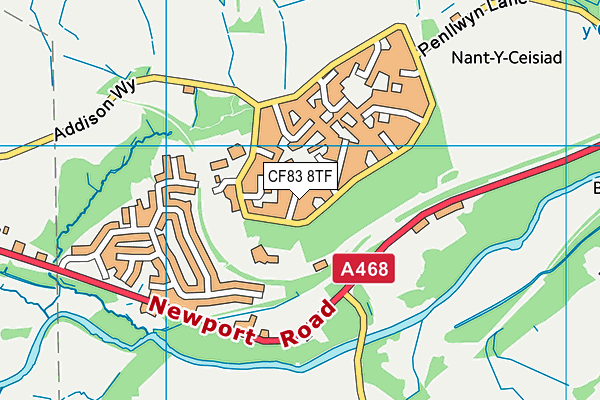 CF83 8TF map - OS VectorMap District (Ordnance Survey)