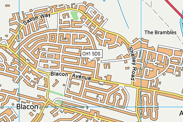 CH1 5DS map - OS VectorMap District (Ordnance Survey)