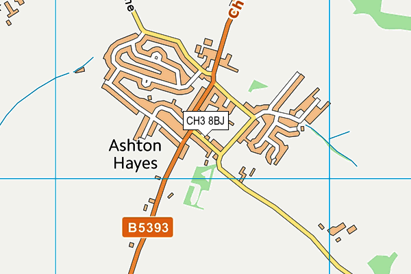 CH3 8BJ map - OS VectorMap District (Ordnance Survey)