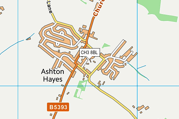 CH3 8BL map - OS VectorMap District (Ordnance Survey)