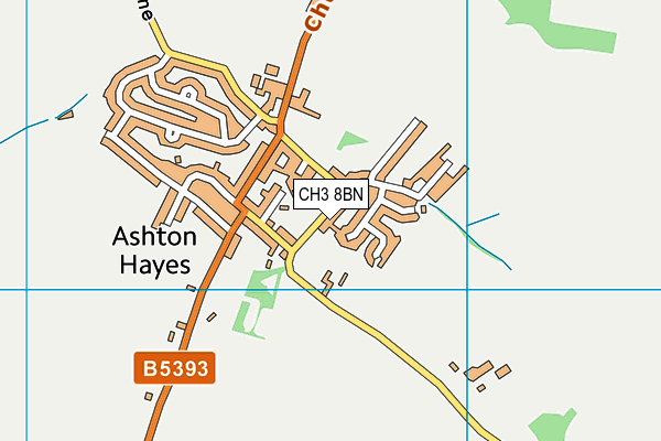 CH3 8BN map - OS VectorMap District (Ordnance Survey)