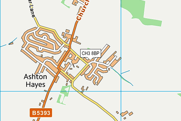 CH3 8BP map - OS VectorMap District (Ordnance Survey)