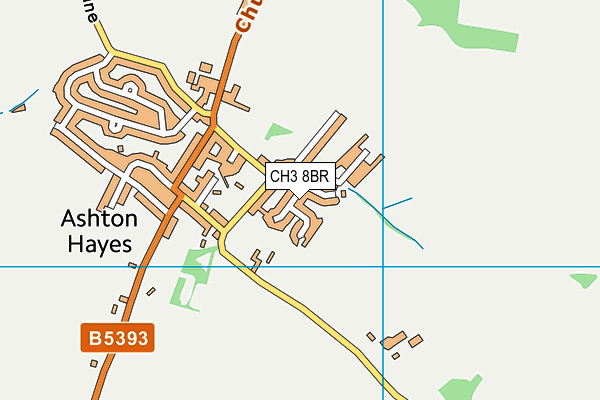 CH3 8BR map - OS VectorMap District (Ordnance Survey)