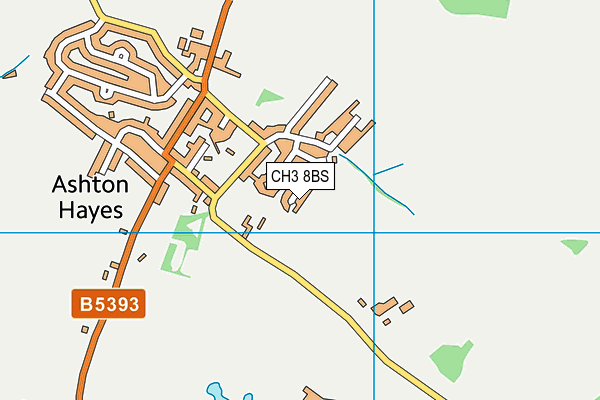 CH3 8BS map - OS VectorMap District (Ordnance Survey)