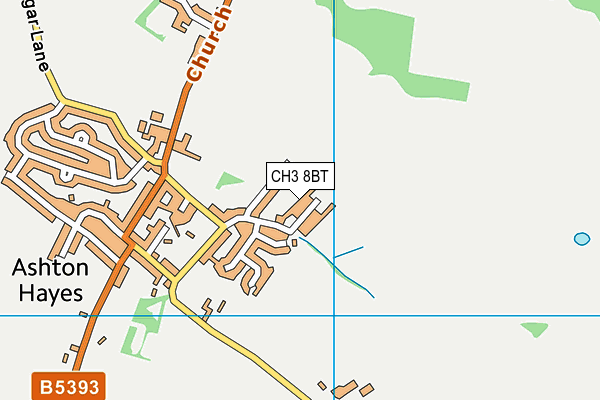 CH3 8BT map - OS VectorMap District (Ordnance Survey)