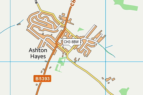 CH3 8BW map - OS VectorMap District (Ordnance Survey)