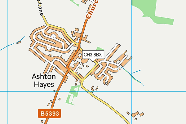 CH3 8BX map - OS VectorMap District (Ordnance Survey)