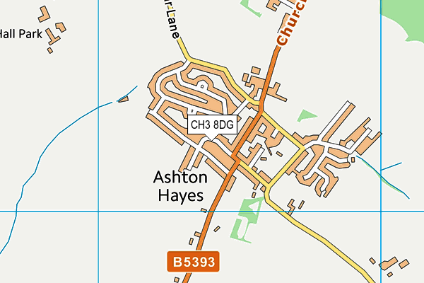 CH3 8DG map - OS VectorMap District (Ordnance Survey)