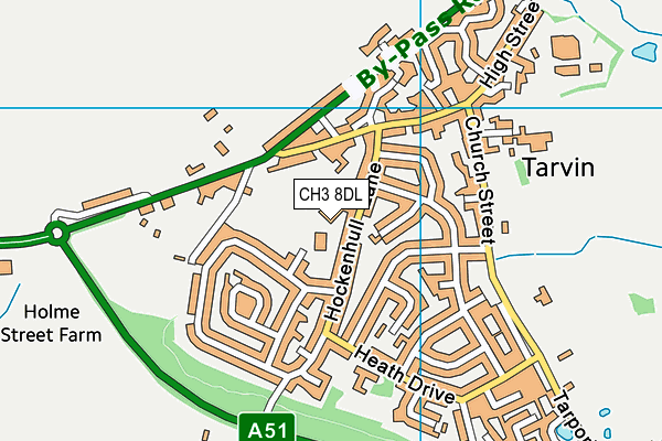 CH3 8DL map - OS VectorMap District (Ordnance Survey)