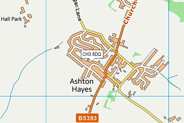 CH3 8DQ map - OS VectorMap District (Ordnance Survey)