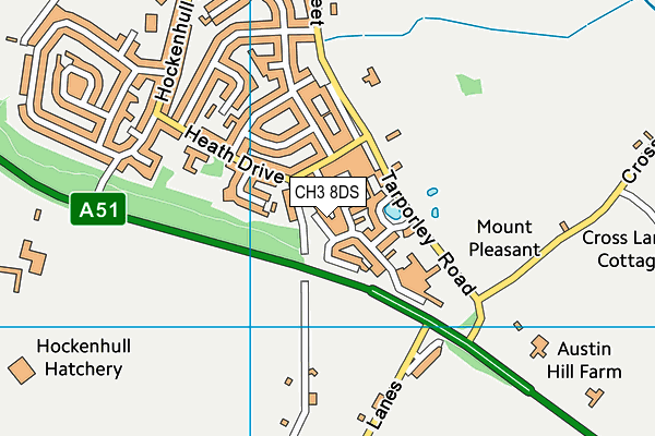 CH3 8DS map - OS VectorMap District (Ordnance Survey)