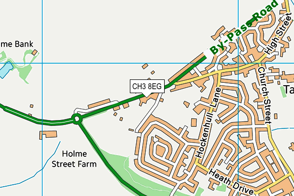 CH3 8EG map - OS VectorMap District (Ordnance Survey)