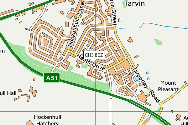 CH3 8EZ map - OS VectorMap District (Ordnance Survey)