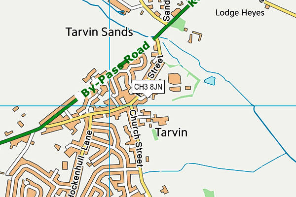 CH3 8JN map - OS VectorMap District (Ordnance Survey)