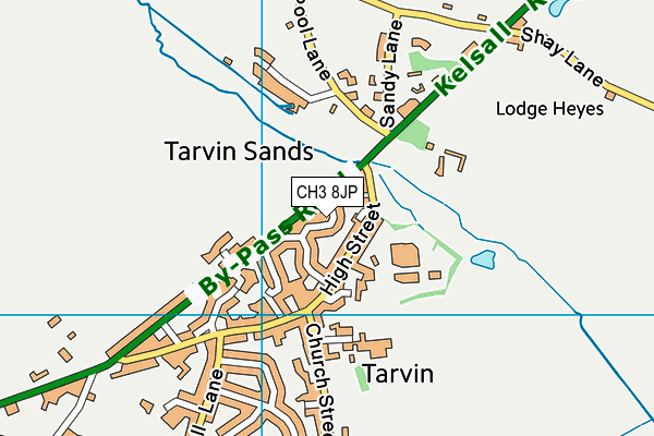 CH3 8JP map - OS VectorMap District (Ordnance Survey)