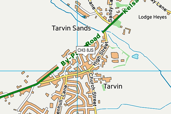 CH3 8JS map - OS VectorMap District (Ordnance Survey)