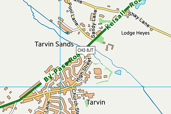 CH3 8JT map - OS VectorMap District (Ordnance Survey)