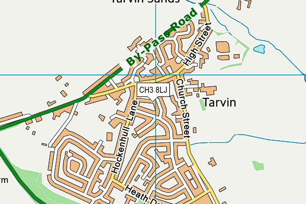 CH3 8LJ map - OS VectorMap District (Ordnance Survey)