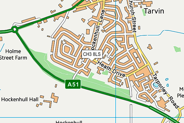 CH3 8LS map - OS VectorMap District (Ordnance Survey)