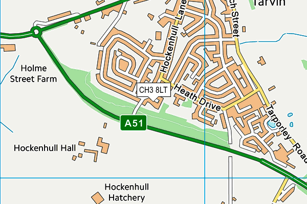 CH3 8LT map - OS VectorMap District (Ordnance Survey)