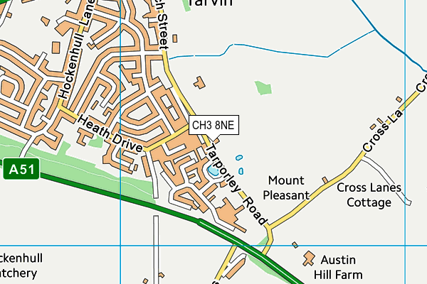 CH3 8NE map - OS VectorMap District (Ordnance Survey)