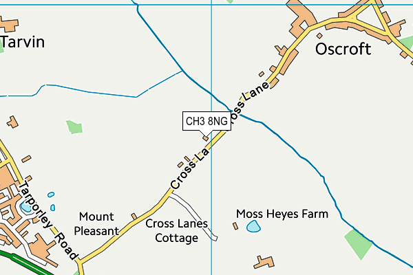 CH3 8NG map - OS VectorMap District (Ordnance Survey)