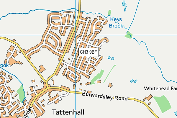 CH3 9BF map - OS VectorMap District (Ordnance Survey)