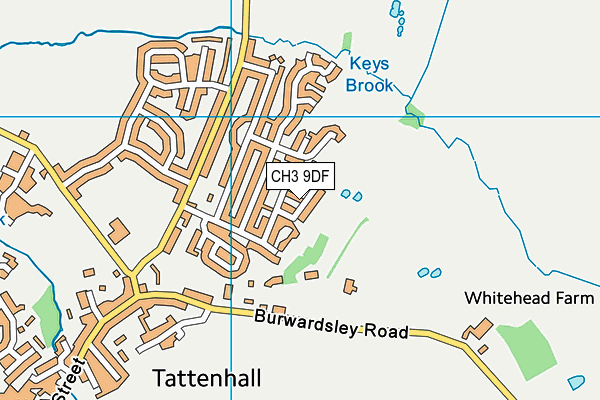 CH3 9DF map - OS VectorMap District (Ordnance Survey)