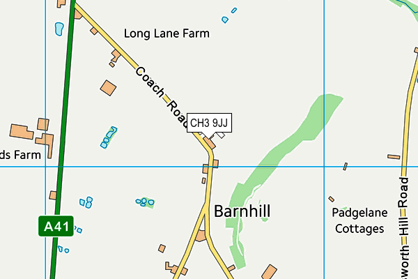 CH3 9JJ map - OS VectorMap District (Ordnance Survey)