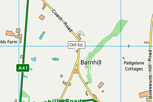 CH3 9JL map - OS VectorMap District (Ordnance Survey)