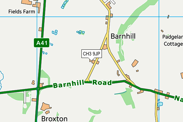 CH3 9JP map - OS VectorMap District (Ordnance Survey)