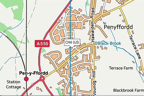 CH4 0JS map - OS VectorMap District (Ordnance Survey)