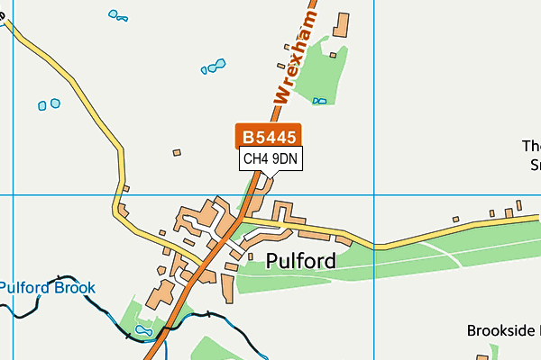 CH4 9DN map - OS VectorMap District (Ordnance Survey)