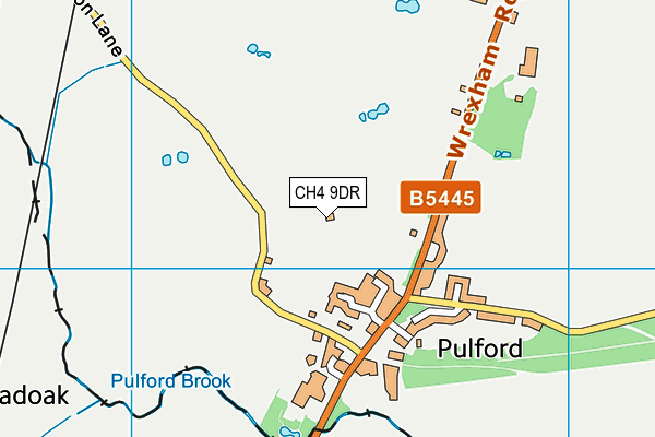 CH4 9DR map - OS VectorMap District (Ordnance Survey)