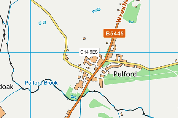 CH4 9ES map - OS VectorMap District (Ordnance Survey)