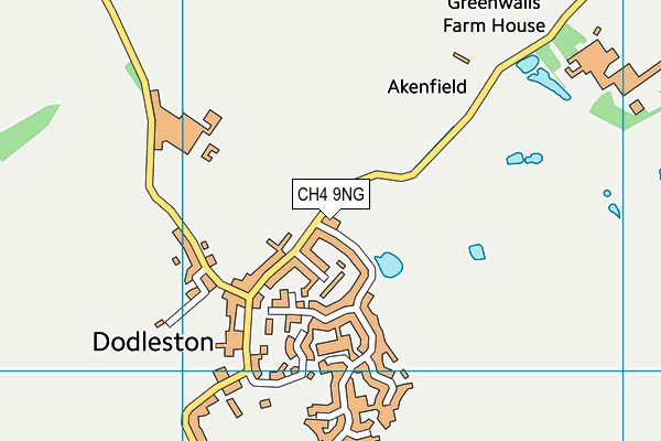 Dodleston CofE Primary School map (CH4 9NG) - OS VectorMap District (Ordnance Survey)