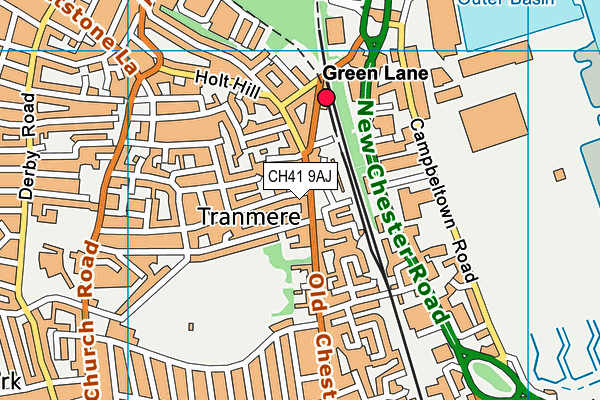 CH41 9AJ map - OS VectorMap District (Ordnance Survey)