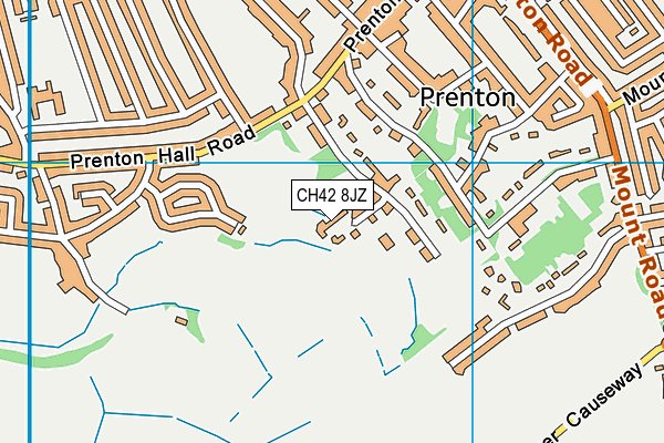 CH42 8JZ map - OS VectorMap District (Ordnance Survey)